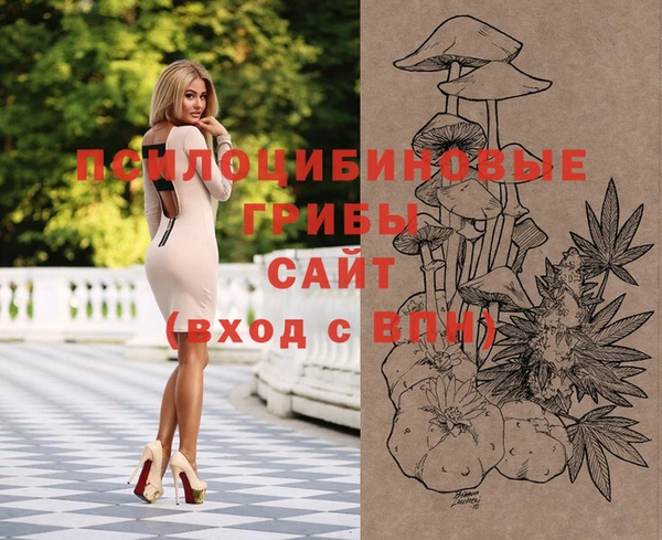ГАЛЛЮЦИНОГЕННЫЕ ГРИБЫ Кинешма