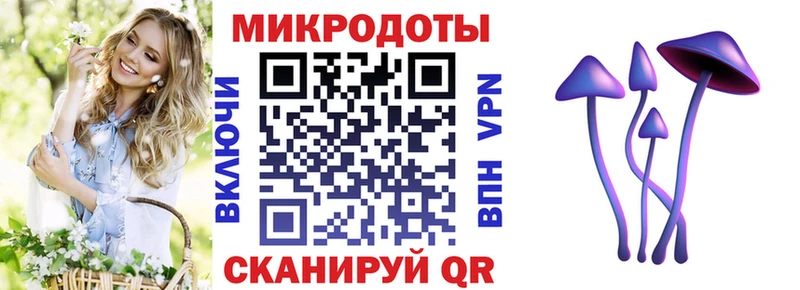 Купить где  Трубчевск  Галлюциногенные грибы Cubensis 